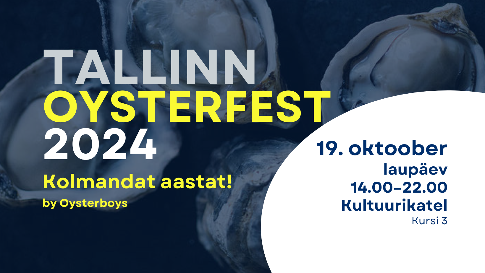 17088Tallinn Oysterfest 2024